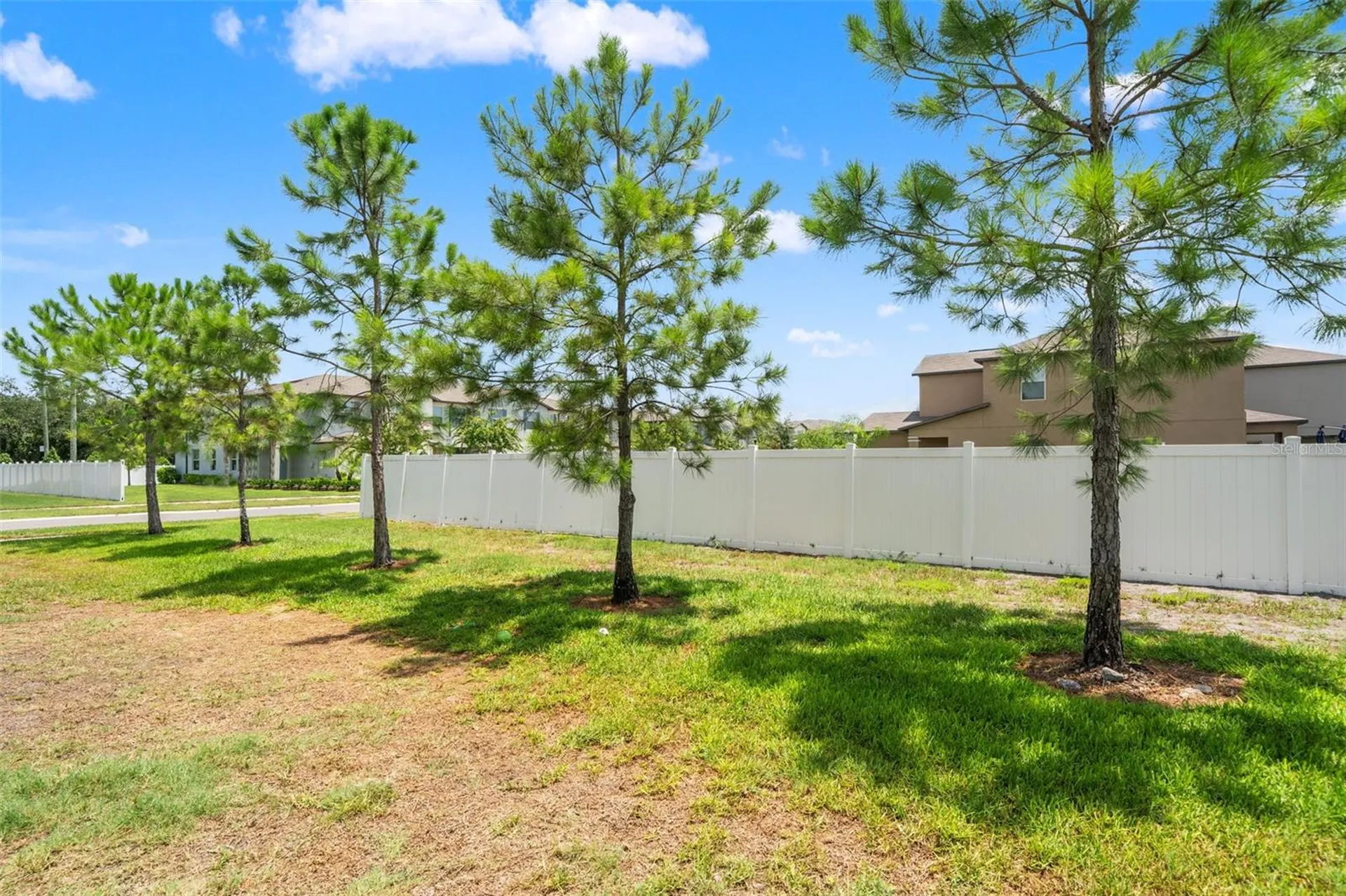 7627 French Marigold Avenue Tampa FL 33619