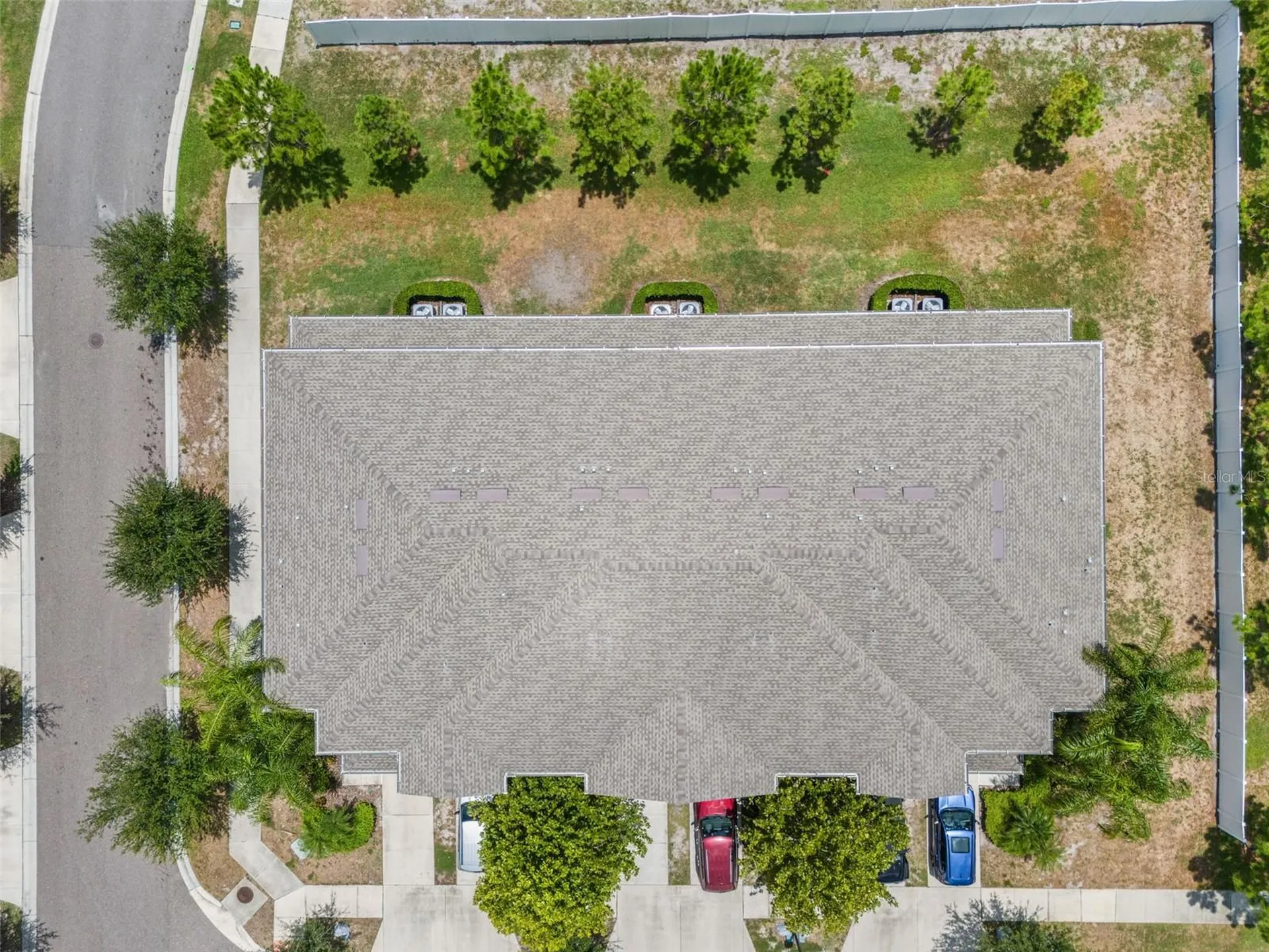 7627 French Marigold Avenue Tampa FL 33619