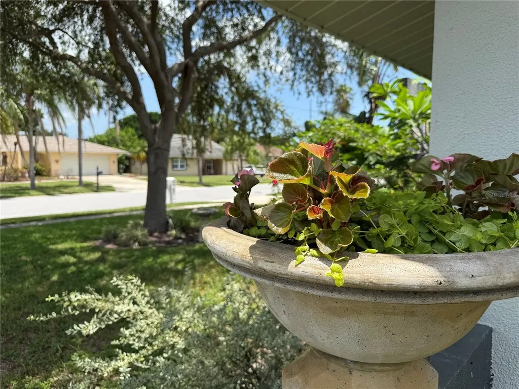 1447 Byram Drive Clearwater FL 33755