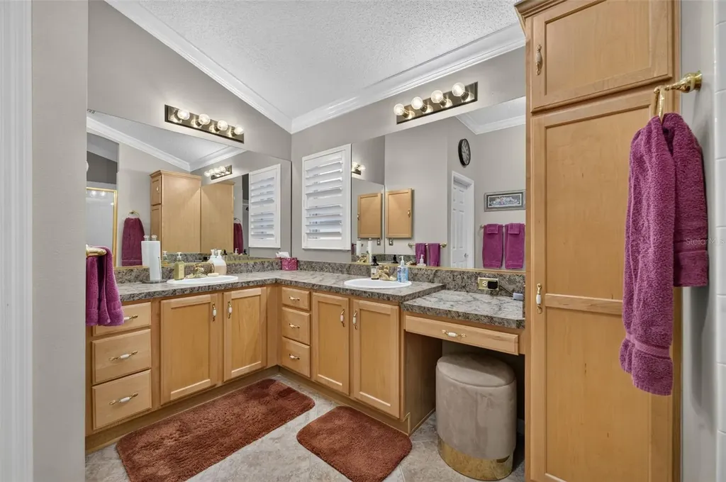 17246 SE 85th Willowick Circle The Villages FL 32162