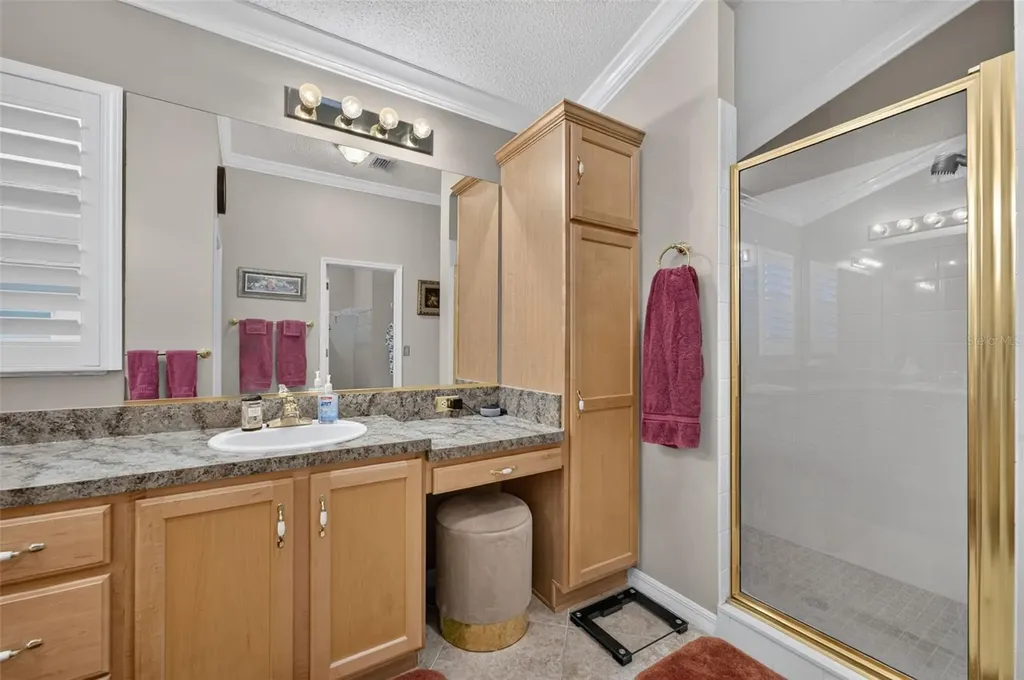 17246 SE 85th Willowick Circle The Villages FL 32162