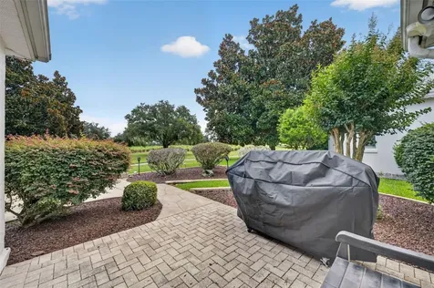 17246 SE 85th Willowick Circle The Villages FL 32162
