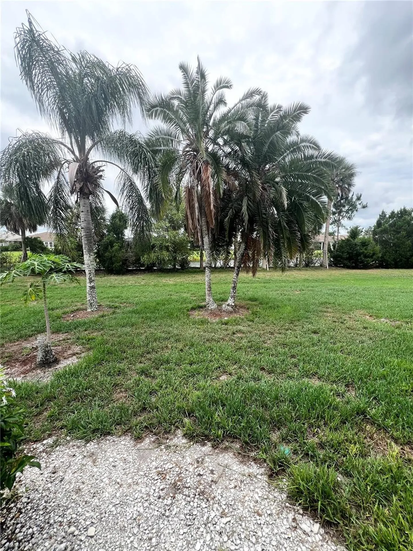 6214 Draw Lane Sarasota FL 34235