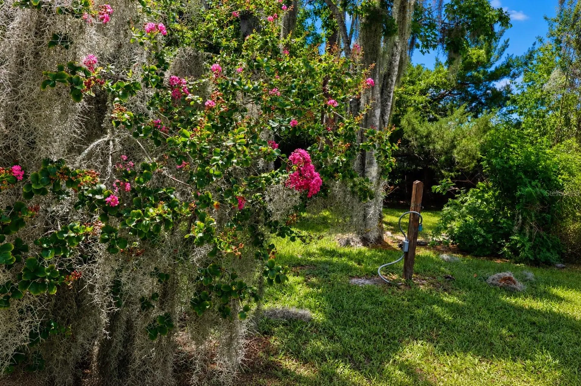 2824 Yule Tree Drive Edgewater FL 32141