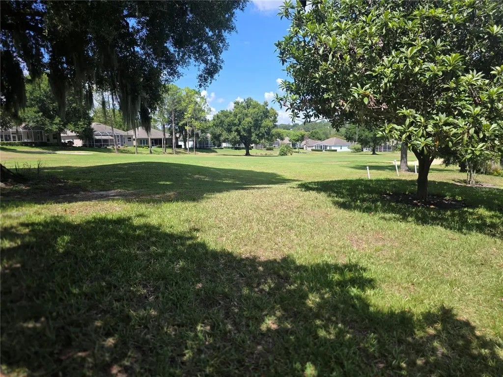 2131 Saint Ives Court Clermont FL 34711