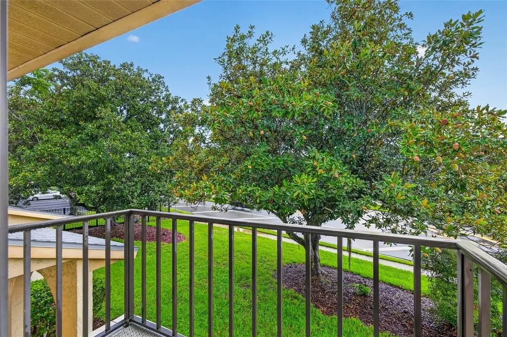 9005 Pebble Creek Drive Tampa FL 33647