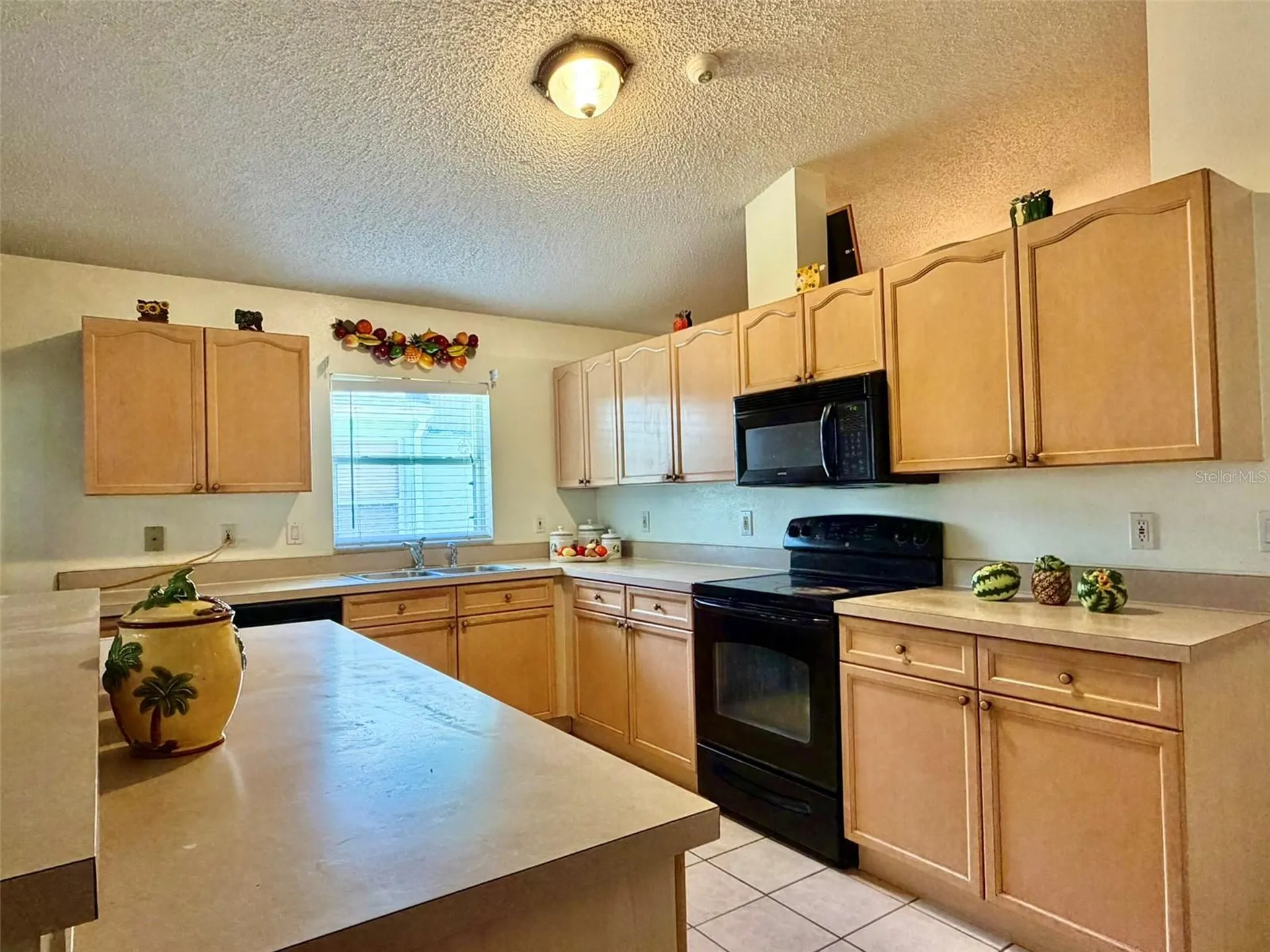 2319 Lily Pad Lane Kissimmee FL 34743