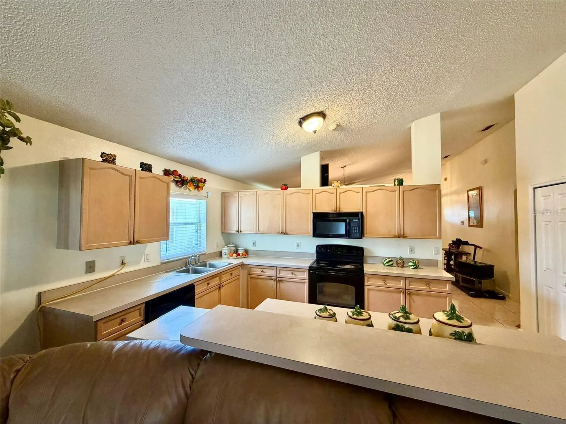 2319 Lily Pad Lane Kissimmee FL 34743