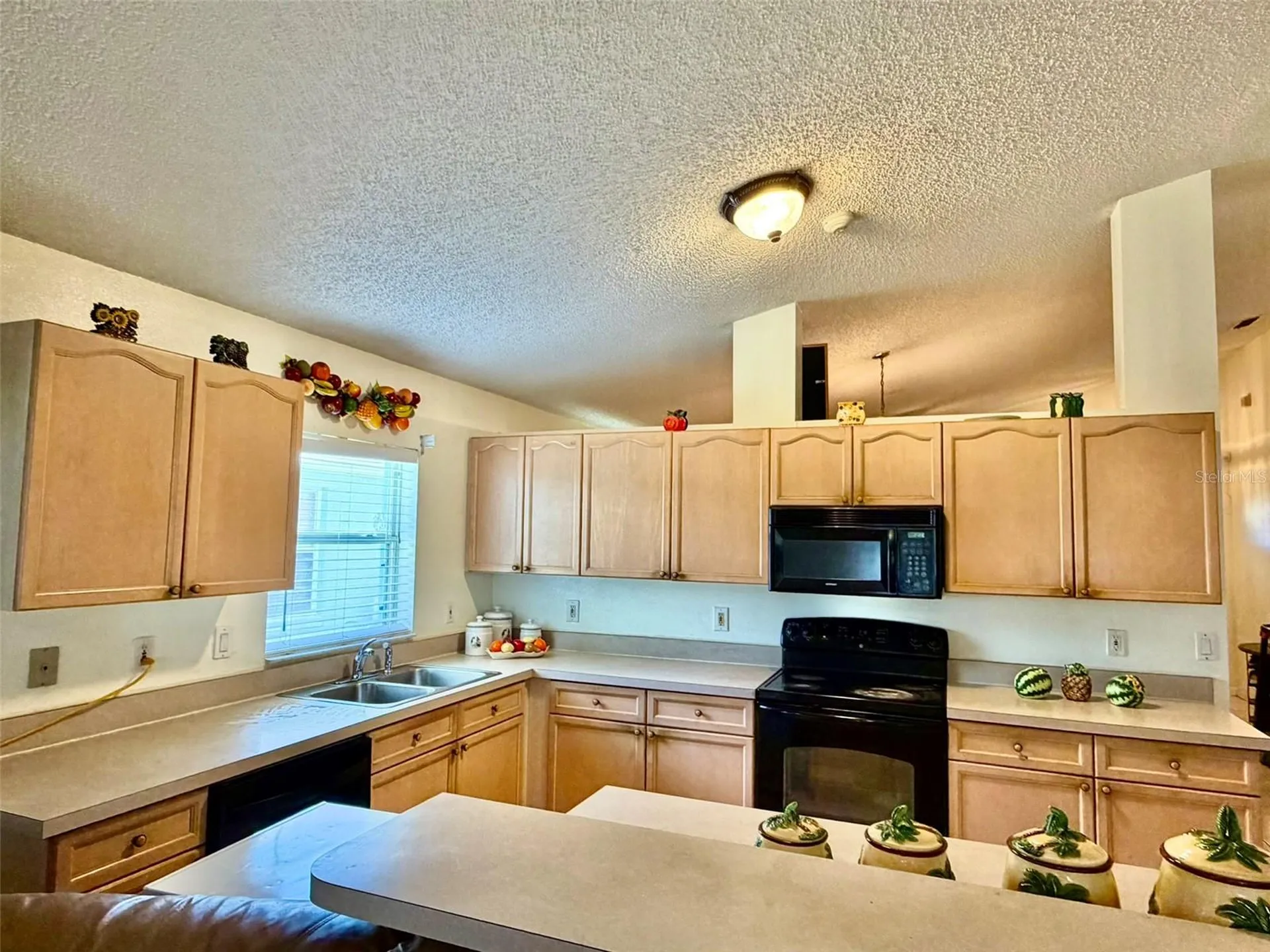 2319 Lily Pad Lane Kissimmee FL 34743