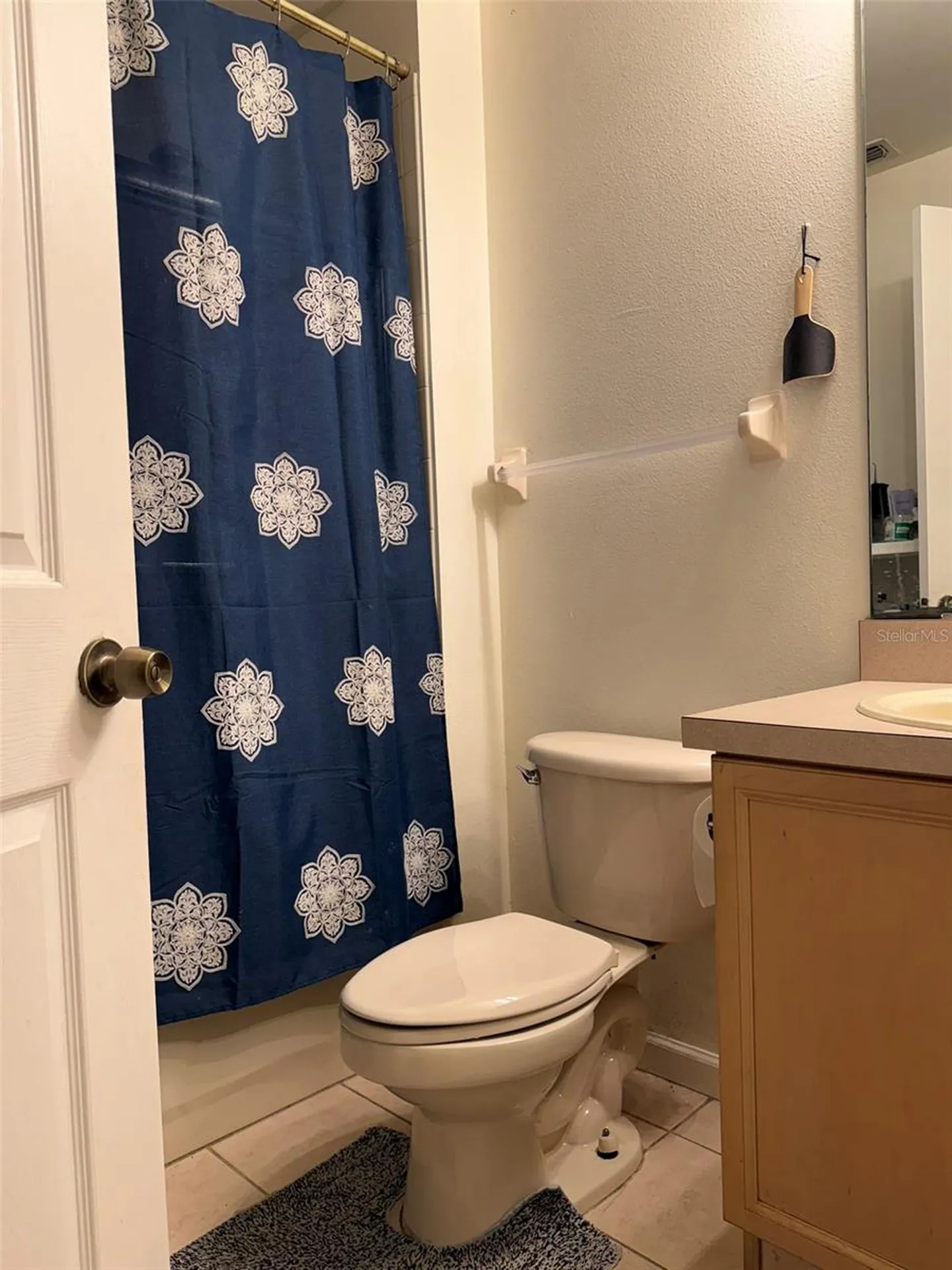 2319 Lily Pad Lane Kissimmee FL 34743