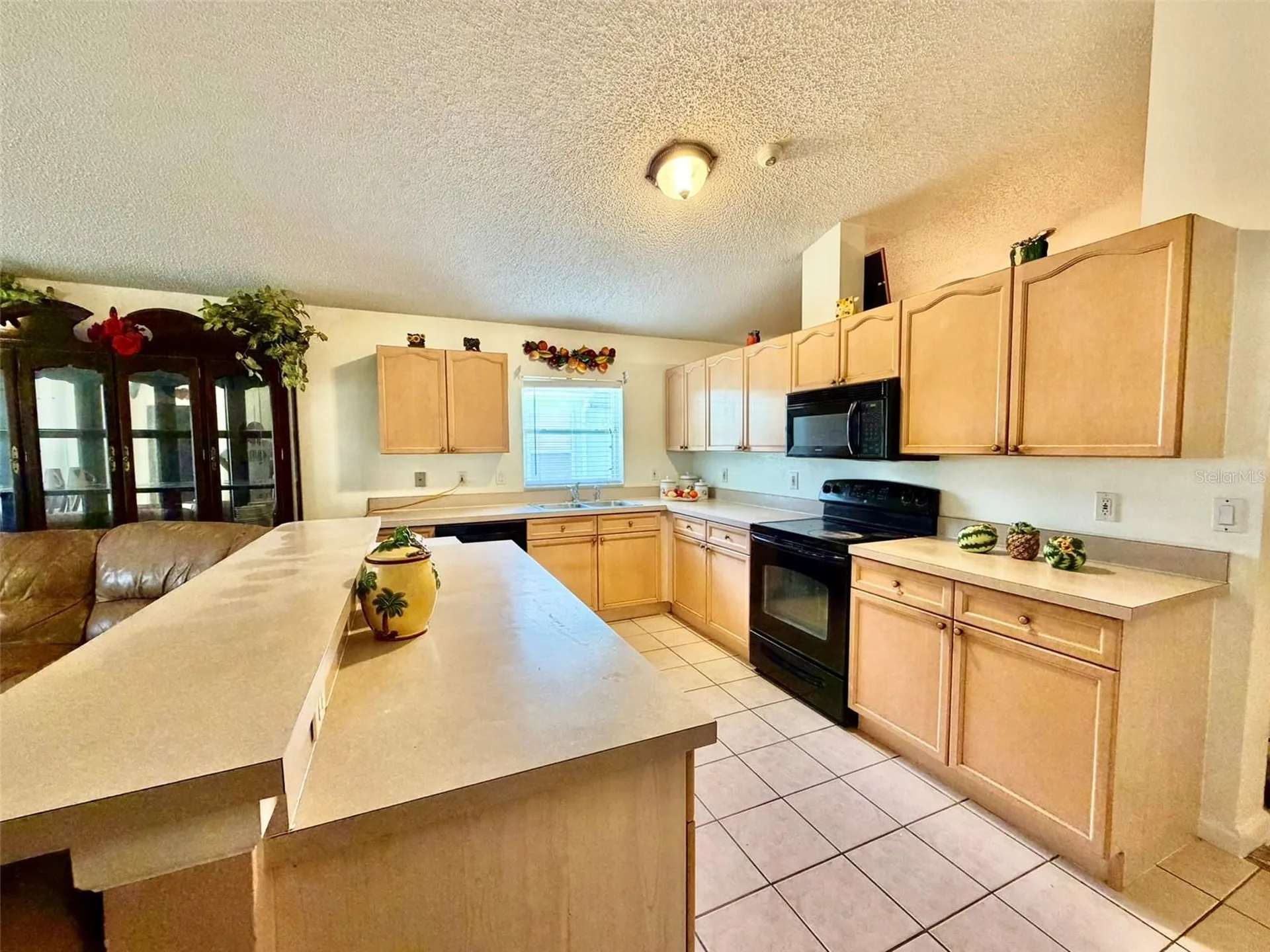2319 Lily Pad Lane Kissimmee FL 34743