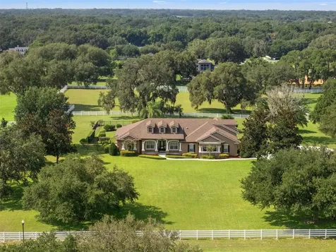 351 Kentucky Blue Circle Apopka FL 32712