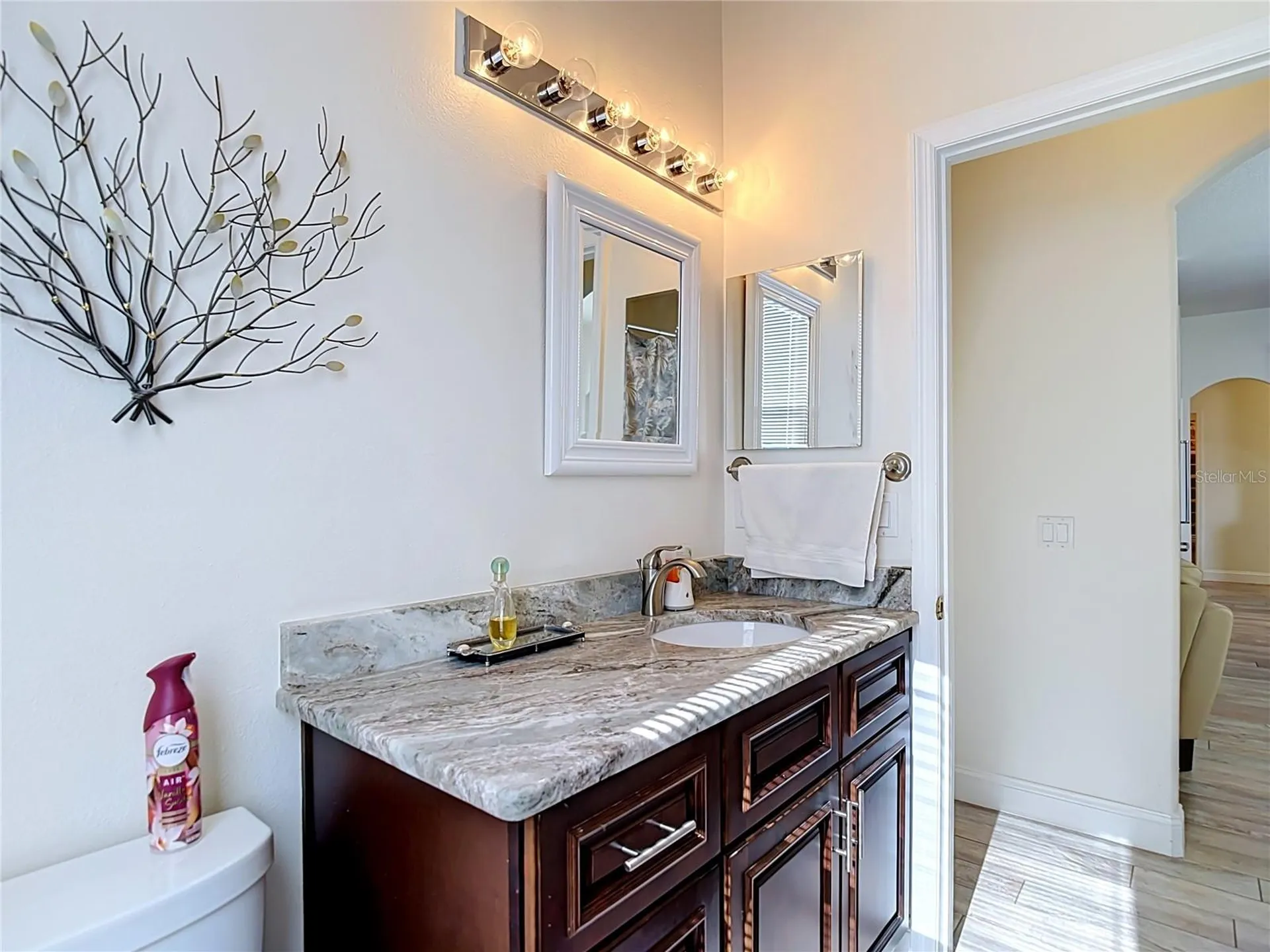 24807 Blazing Trail Way Land O Lakes FL 34639