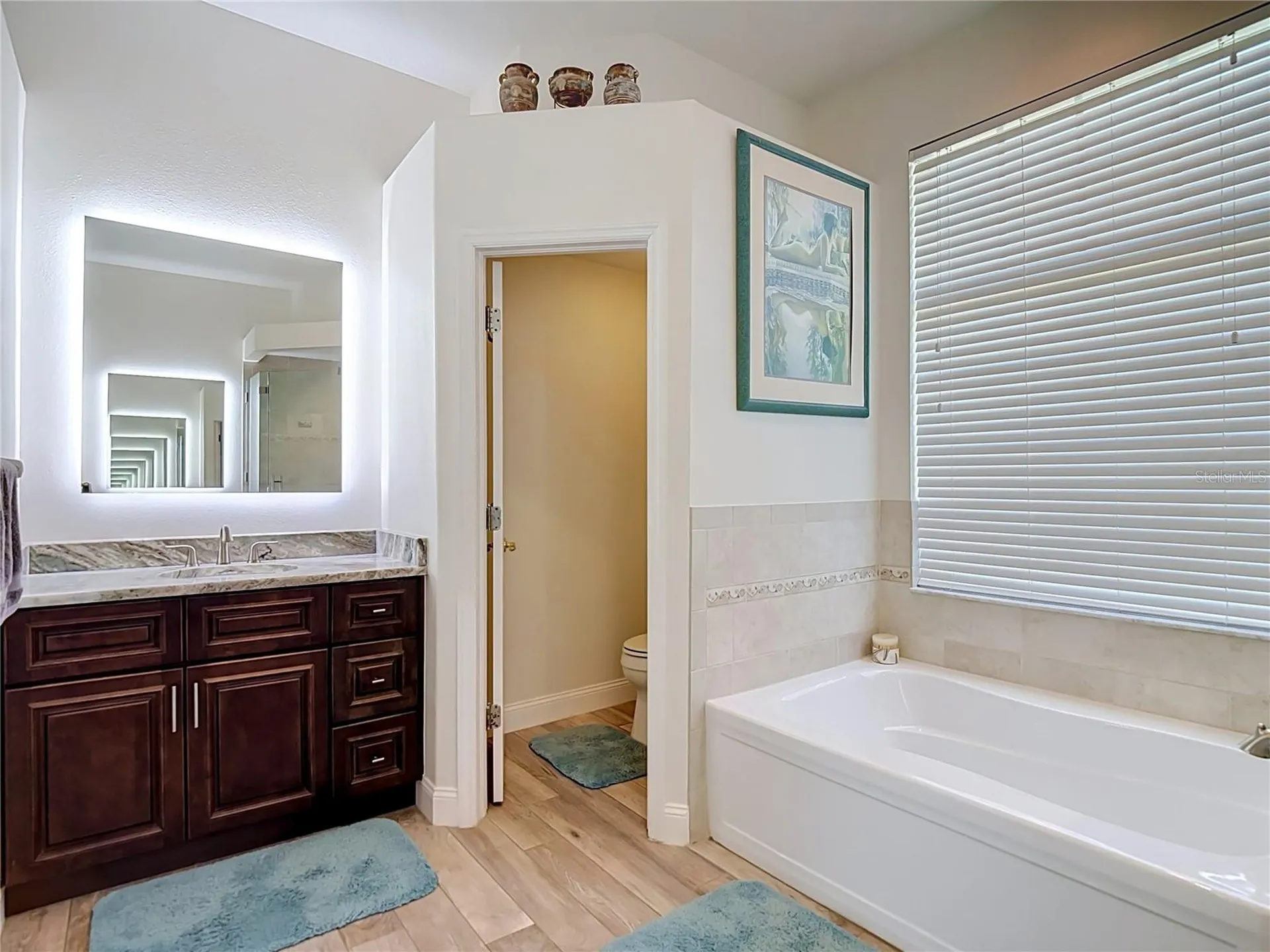 24807 Blazing Trail Way Land O Lakes FL 34639