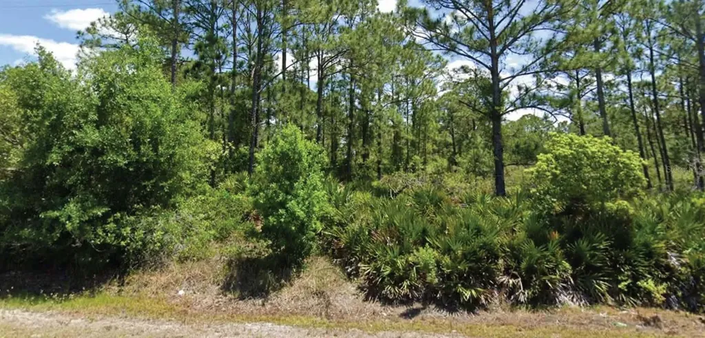 648 Pershing Avenue Lake Placid FL 33852