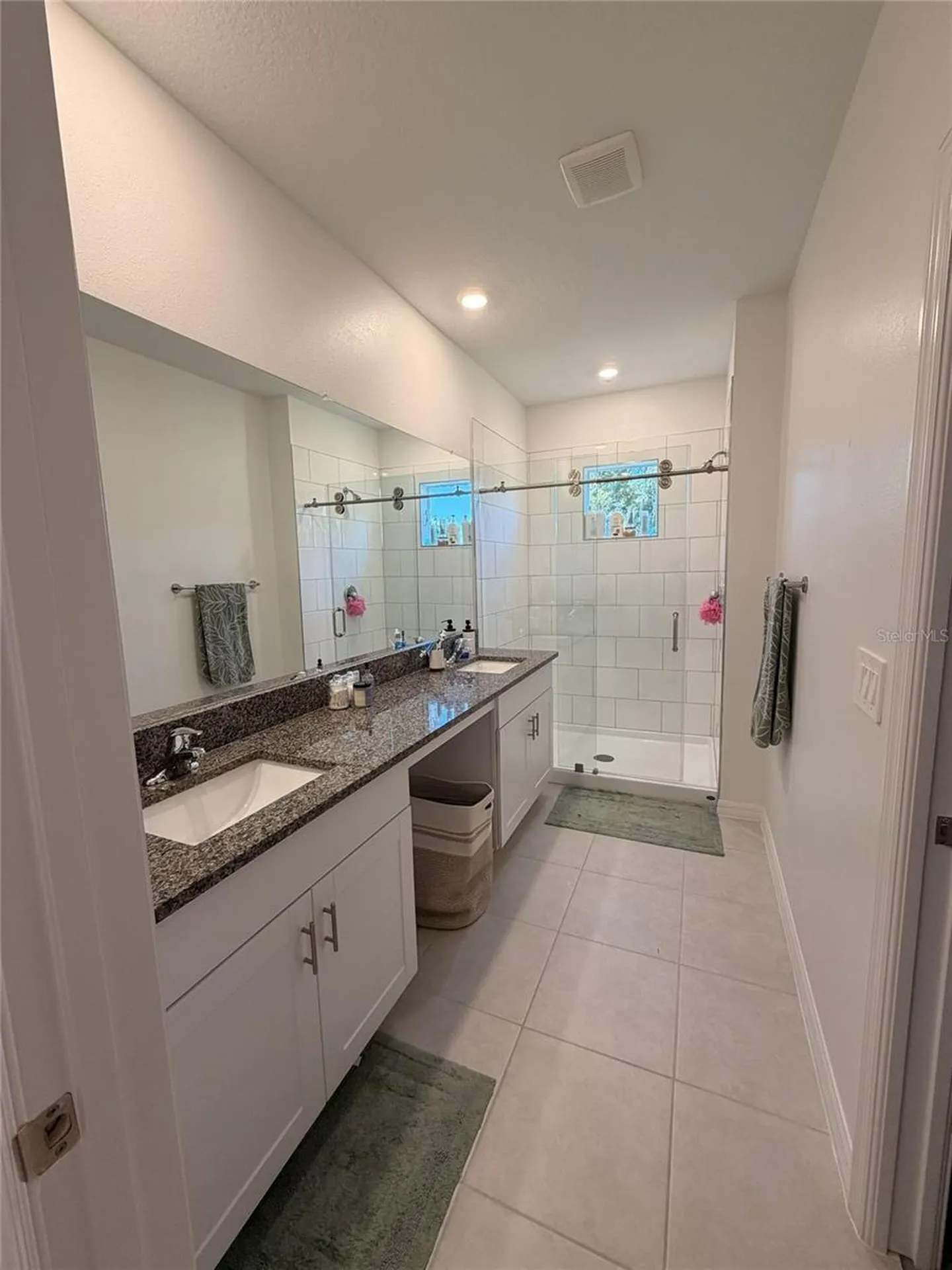 10805 Fanning Springs Court Tampa FL 33647