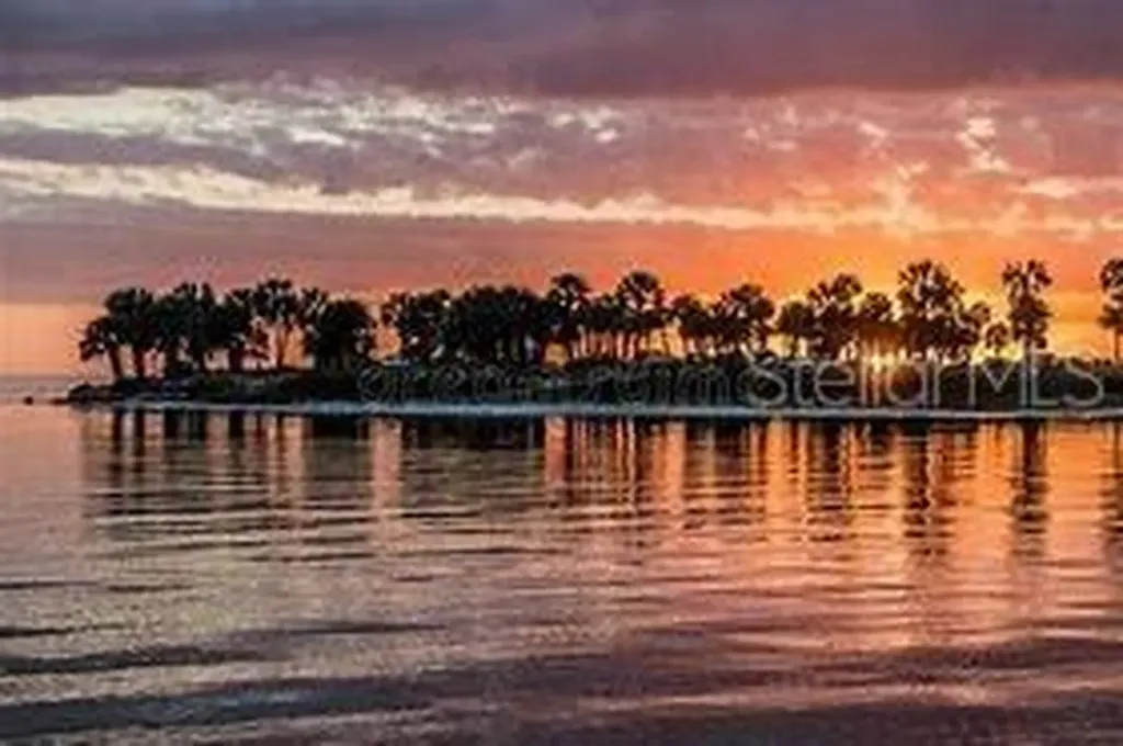 1250 S Pinellas Avenue Tarpon Springs FL 34689