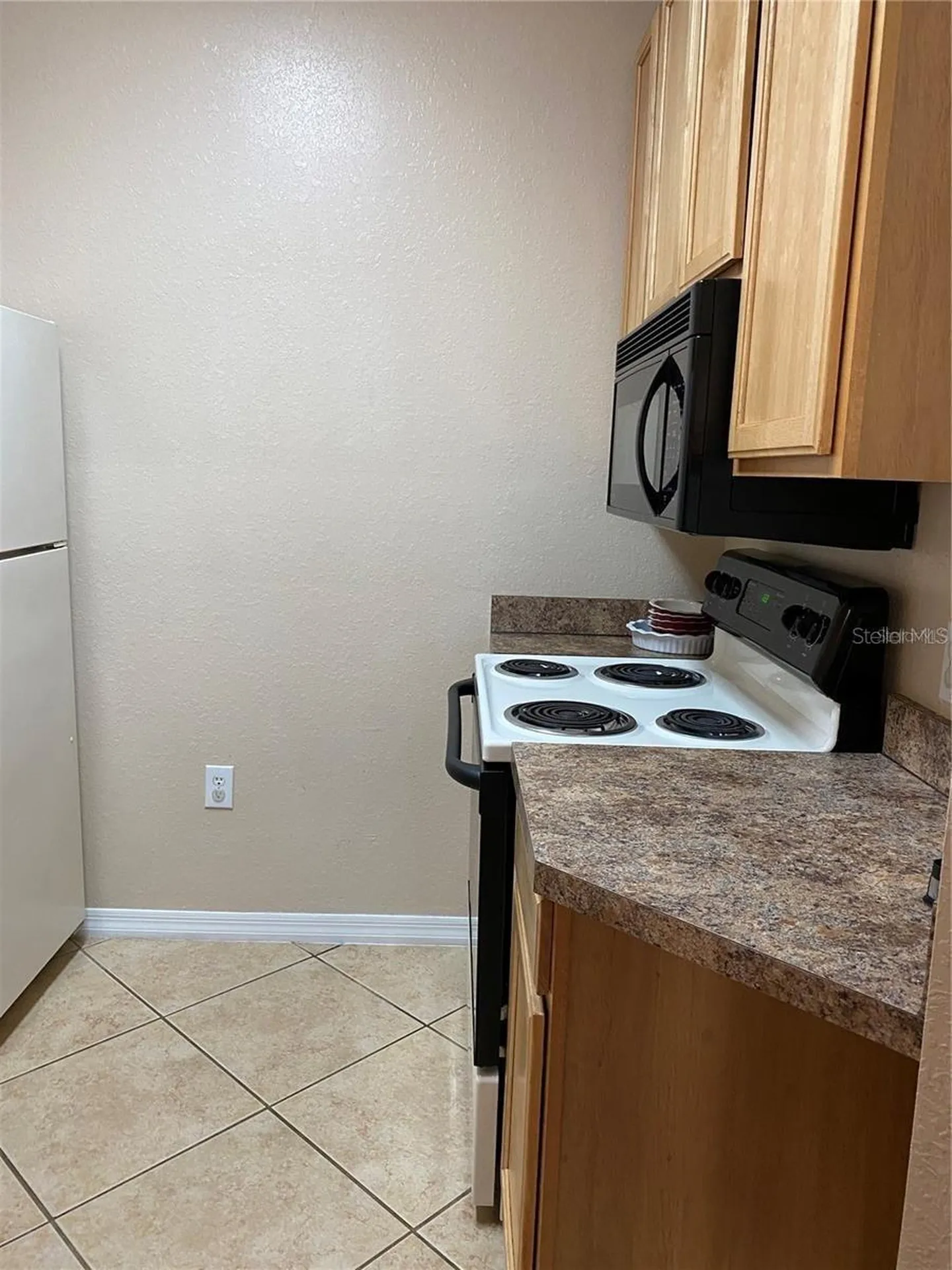 10019 Courtney Palms Boulevard Tampa FL 33619