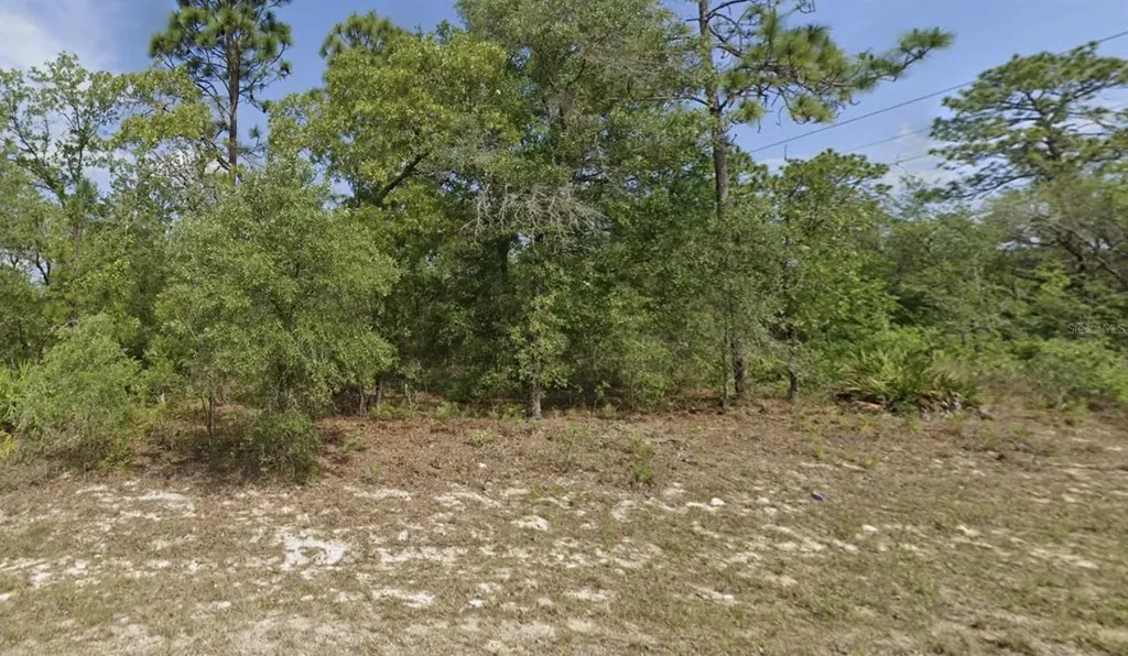 6791 Darlington Drive Citrus Springs FL 34434