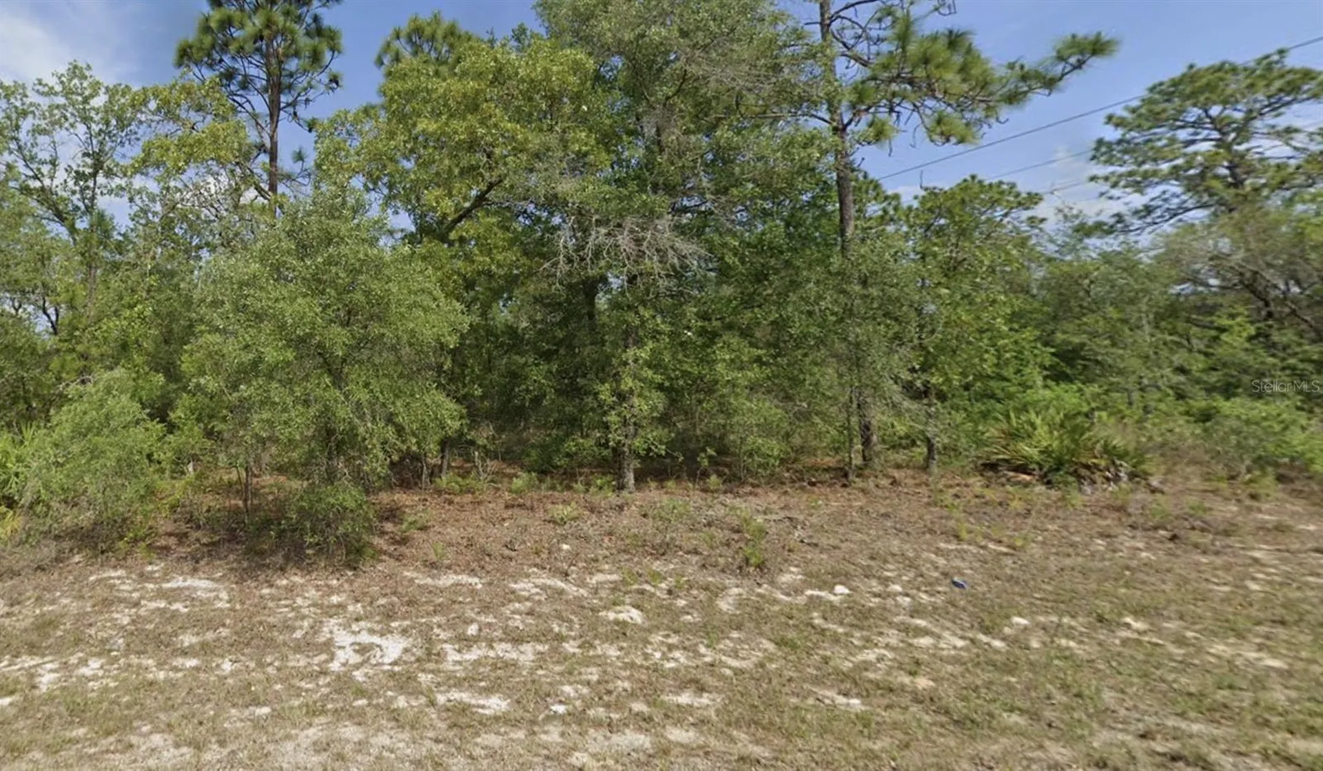 6791 Darlington Drive Citrus Springs FL 34434