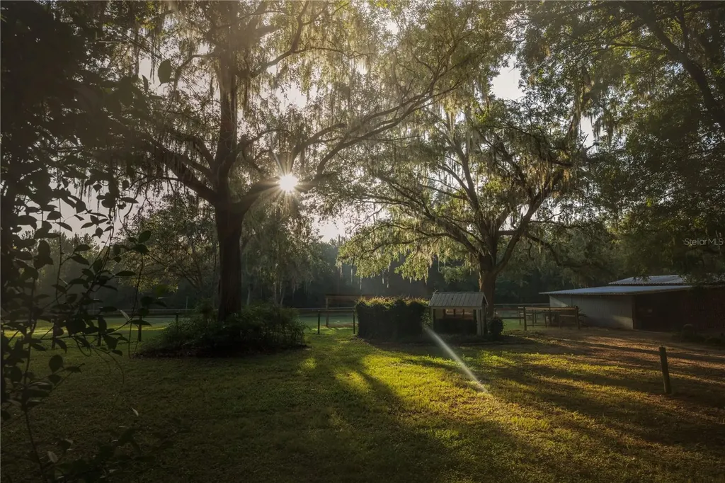 18251 NW 141st Avenue Williston FL 32696