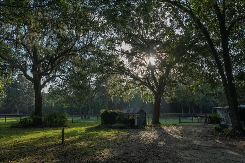 18251 NW 141st Avenue Williston FL 32696