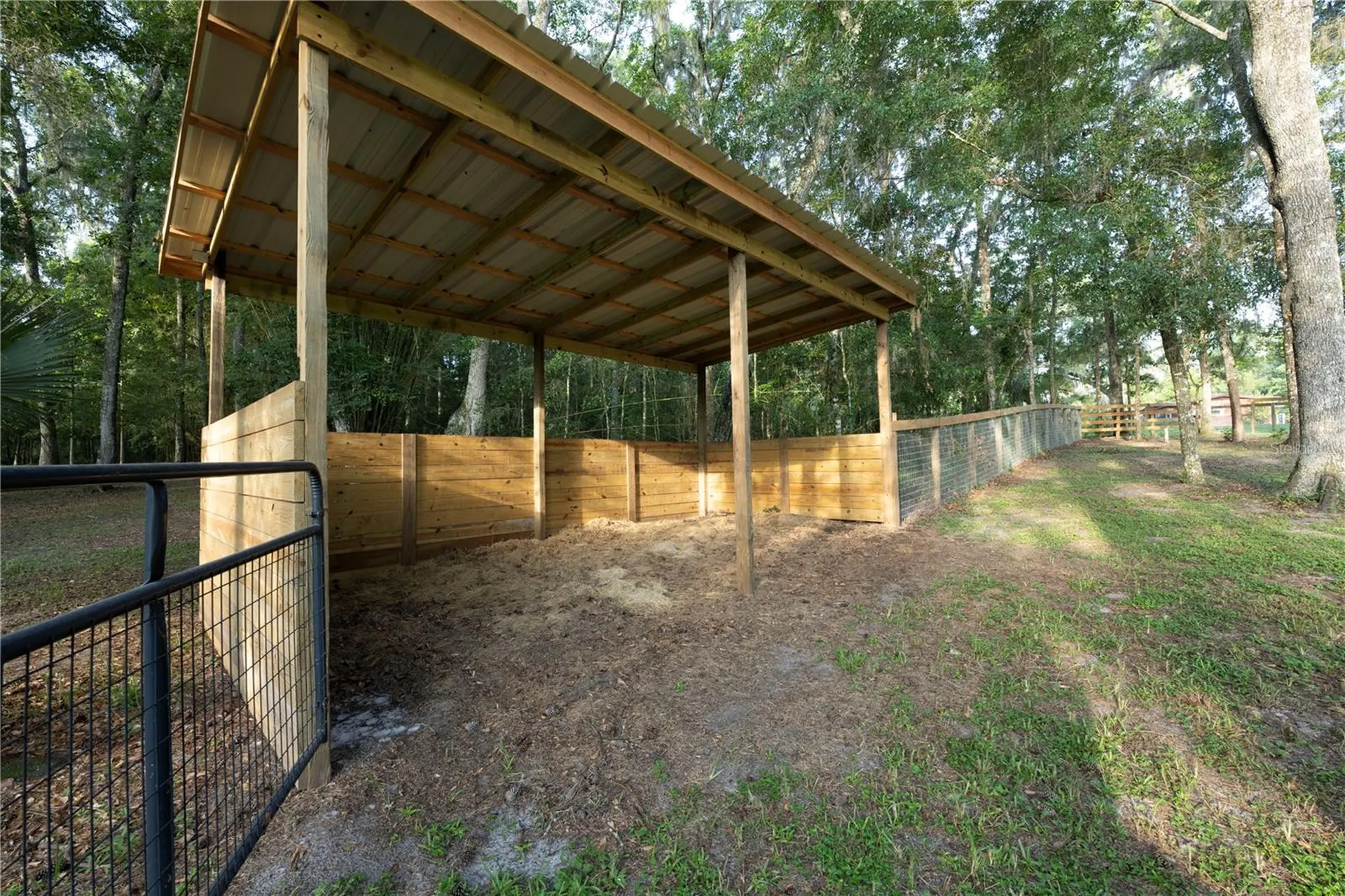 18251 NW 141st Avenue Williston FL 32696