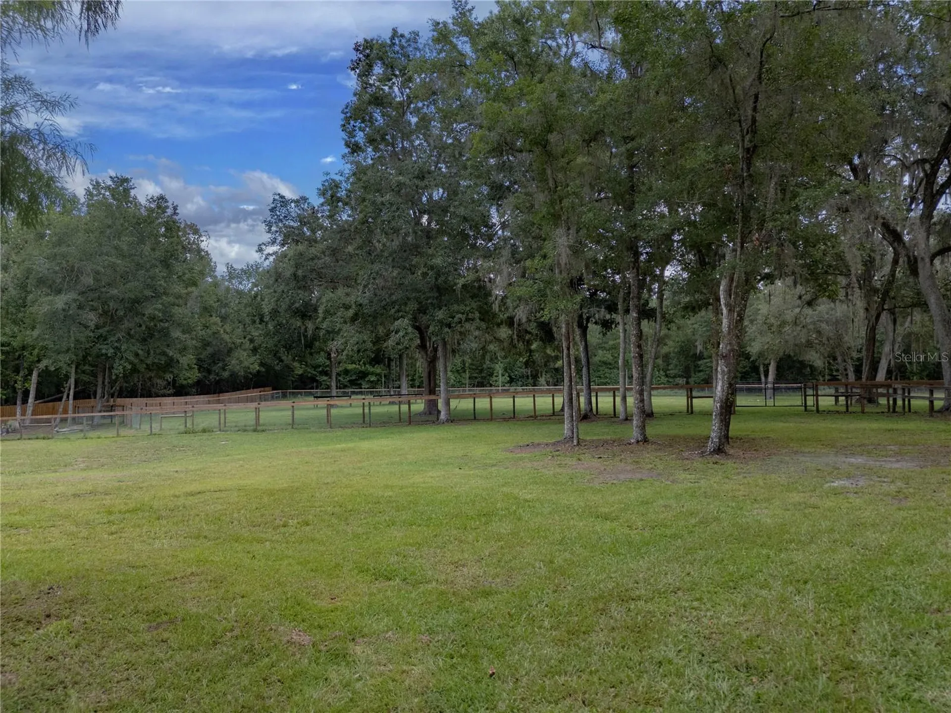 18251 NW 141st Avenue Williston FL 32696