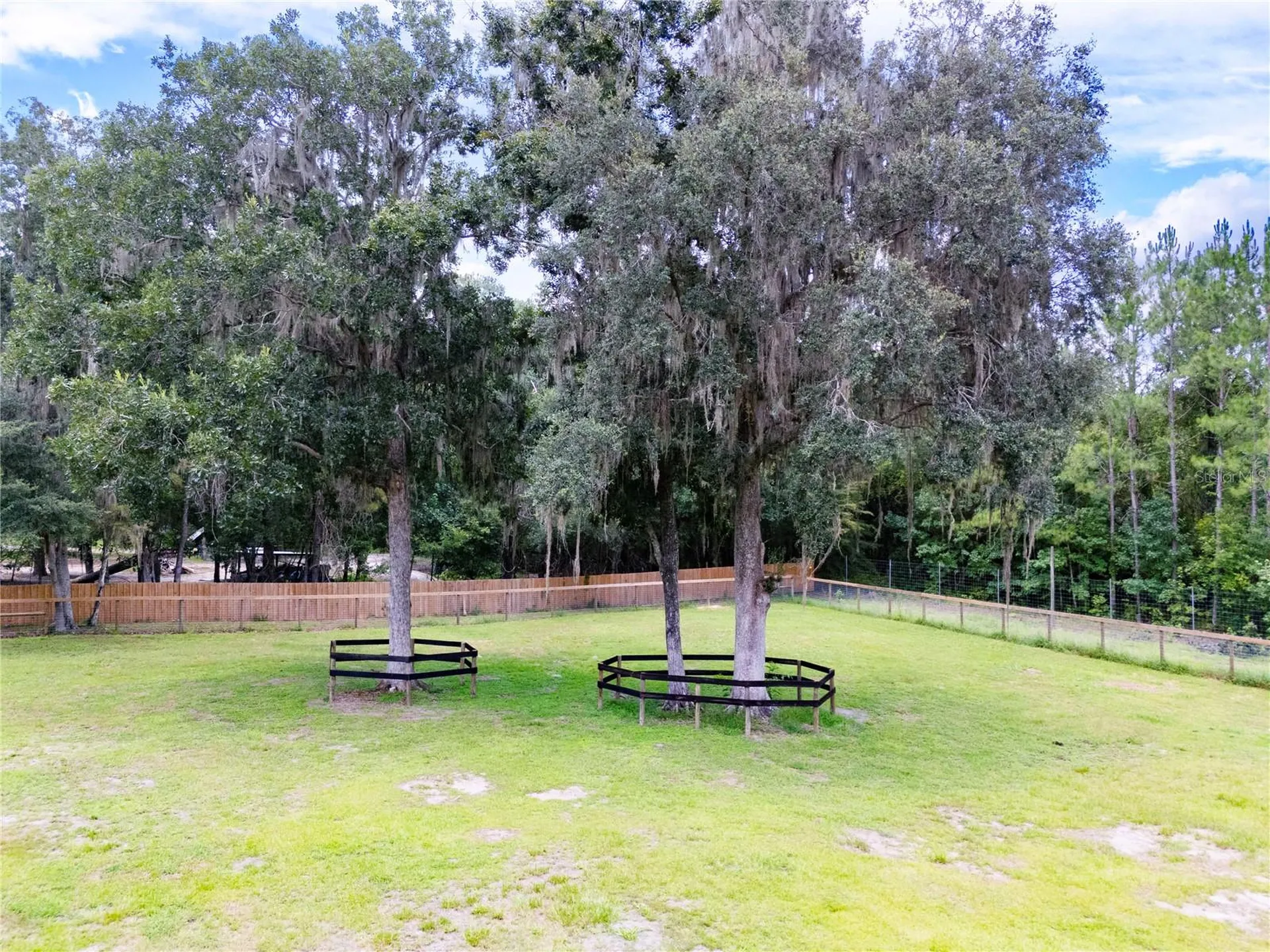18251 NW 141st Avenue Williston FL 32696