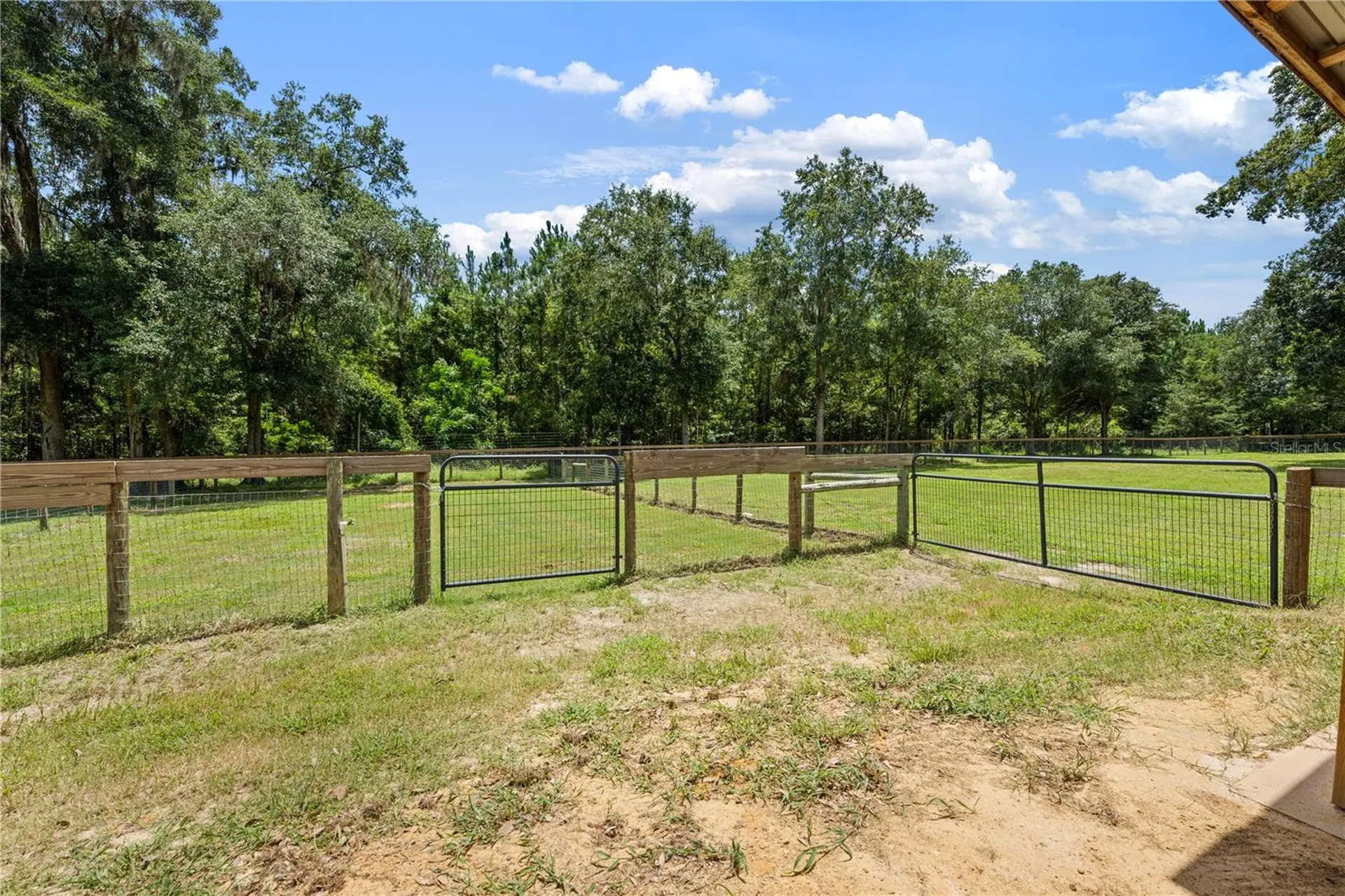 18251 NW 141st Avenue Williston FL 32696