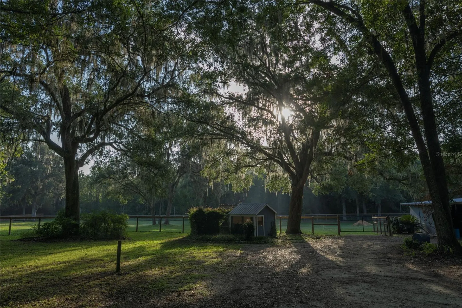 18251 NW 141st Avenue Williston FL 32696