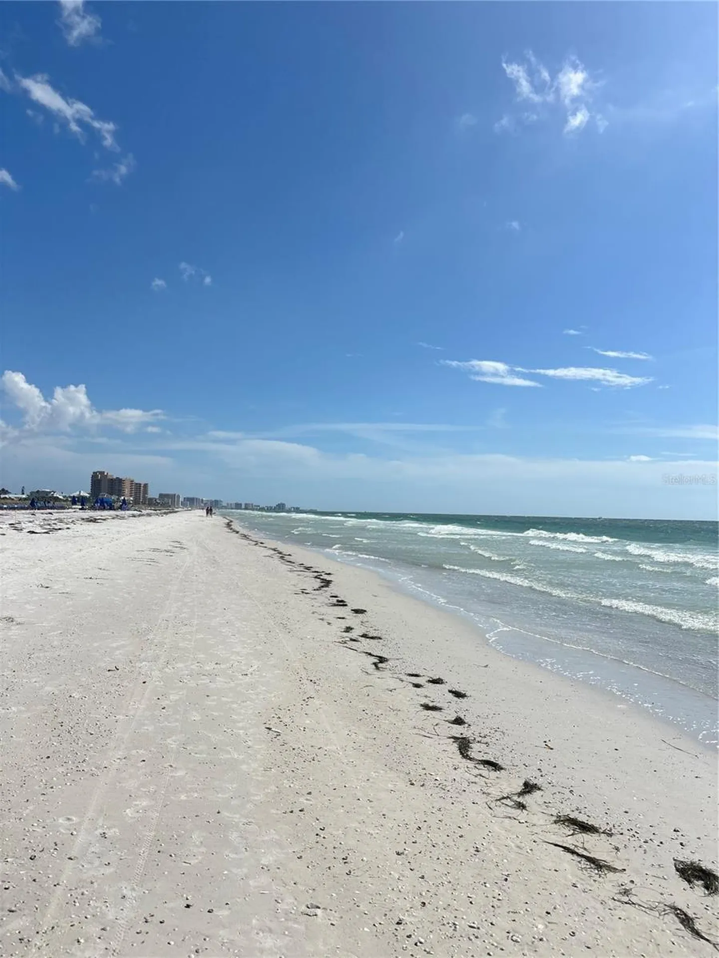 880 Mandalay Avenue Clearwater Beach FL 33767