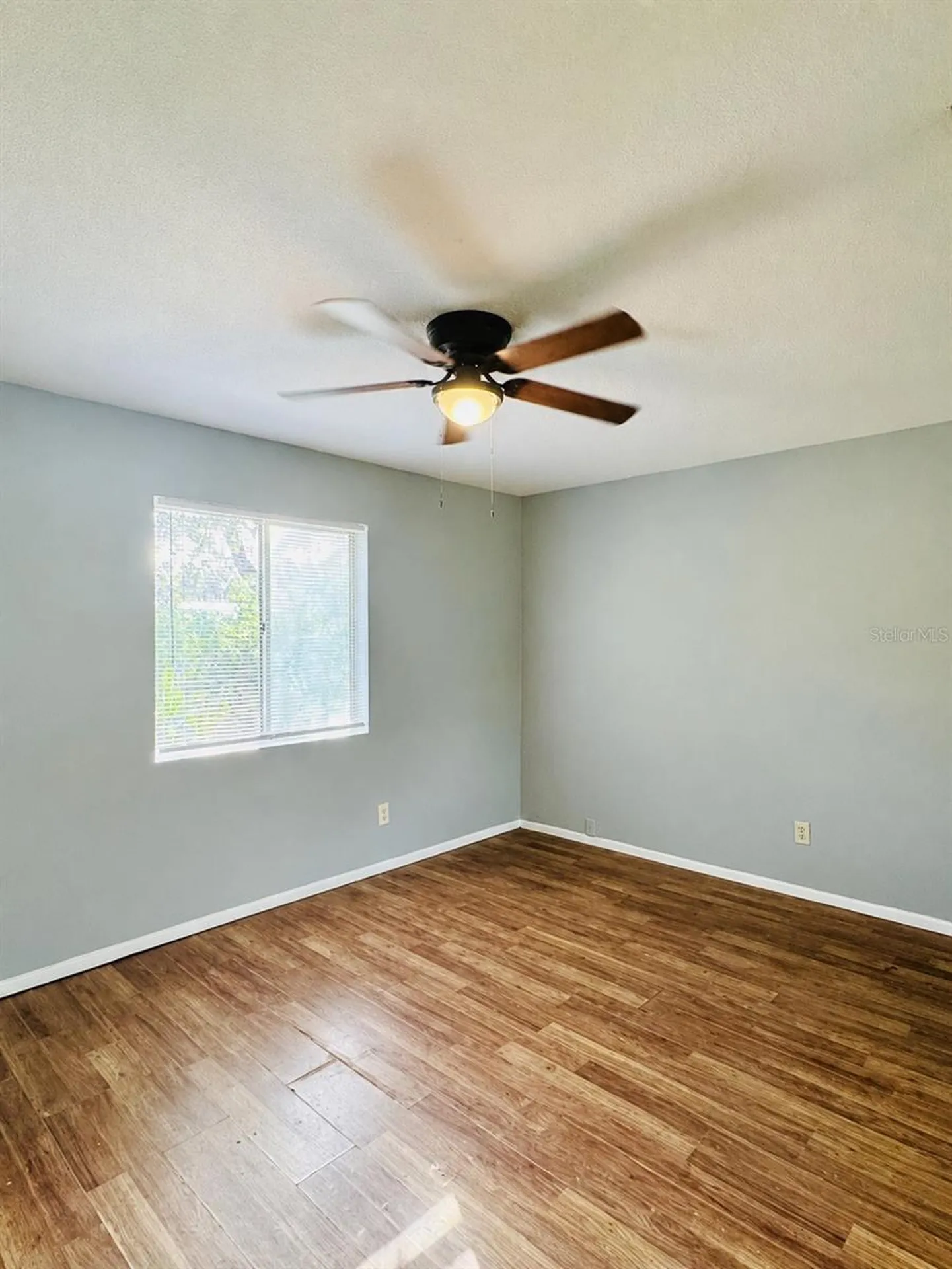 12909 Litewood Drive Hudson FL 34669