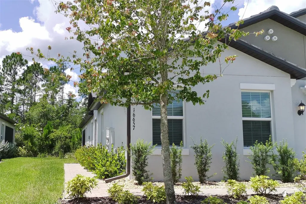 16657 Shell Bay Drive Land O Lakes FL 34638