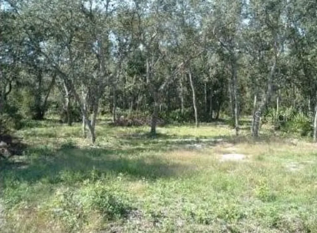413 NE 808th Street Old Town FL 32680