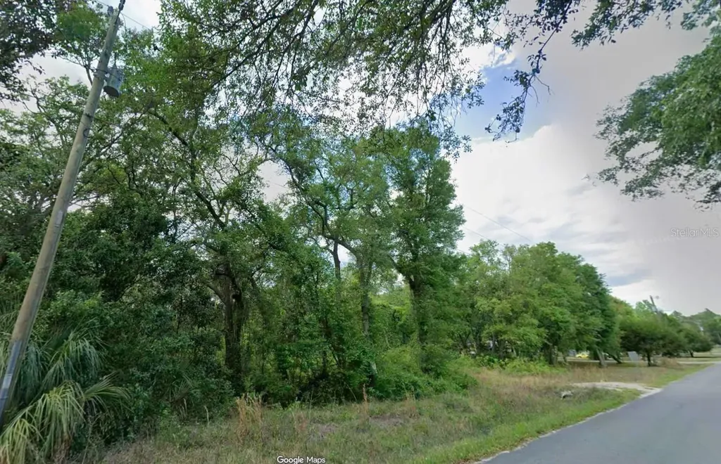 413 NE 808th Street Old Town FL 32680