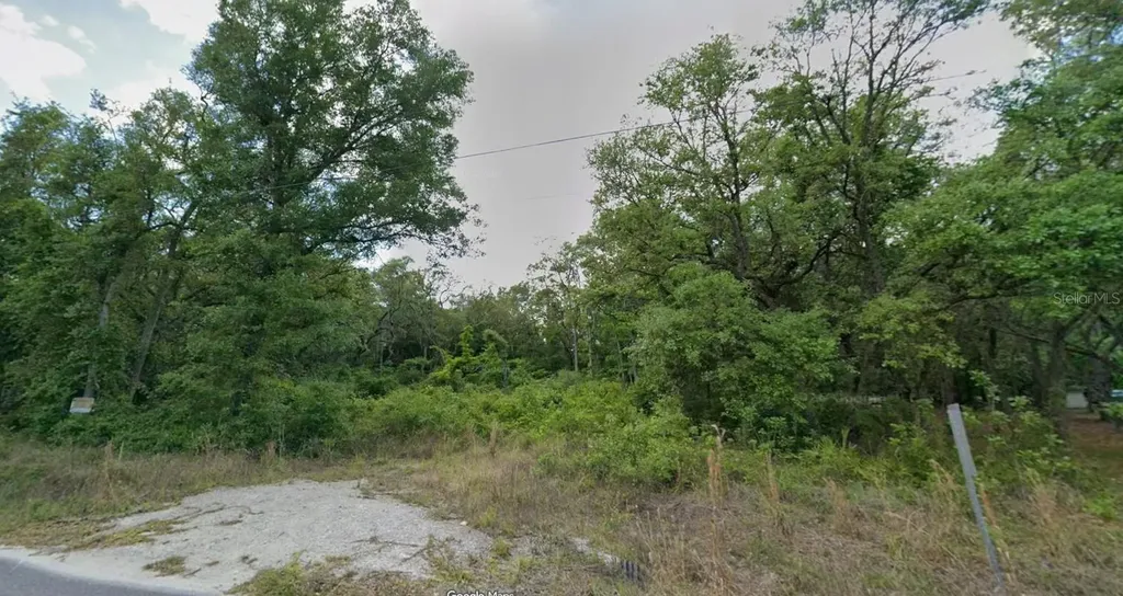 413 NE 808th Street Old Town FL 32680
