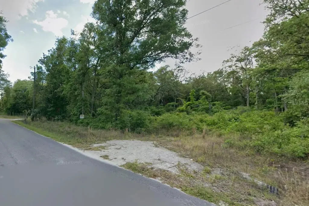 413 NE 808th Street Old Town FL 32680