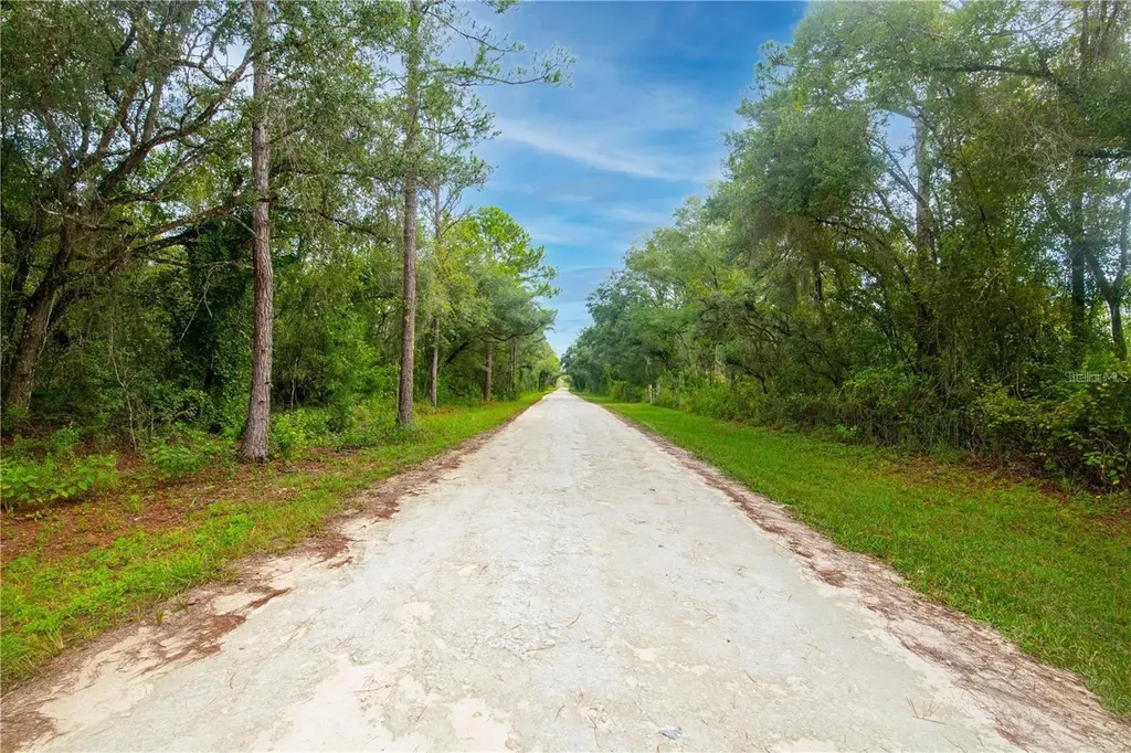 7431 Bitternut Avenue Webster FL 33597