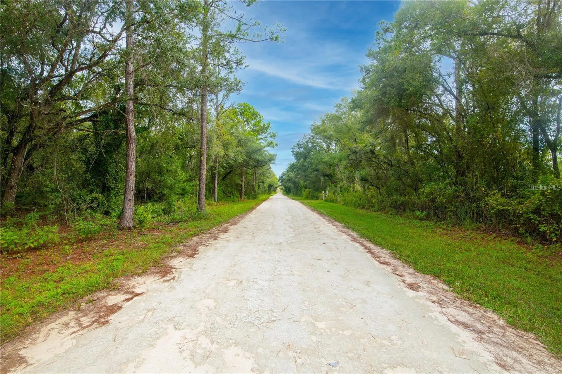 7431 Bitternut Avenue Webster FL 33597