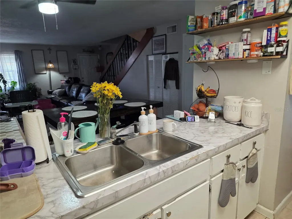 4823 W Mcelroy Avenue Tampa FL 33611