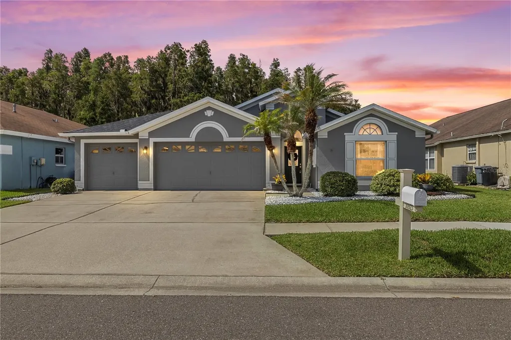 30923 Iverson Drive Wesley Chapel FL 33543