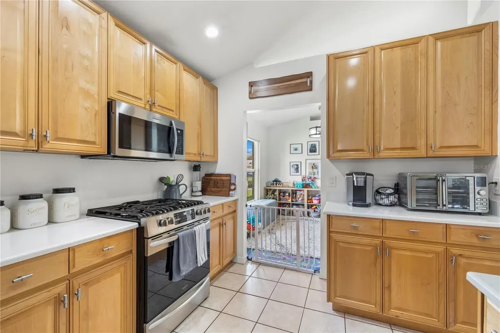 30923 Iverson Drive Wesley Chapel FL 33543