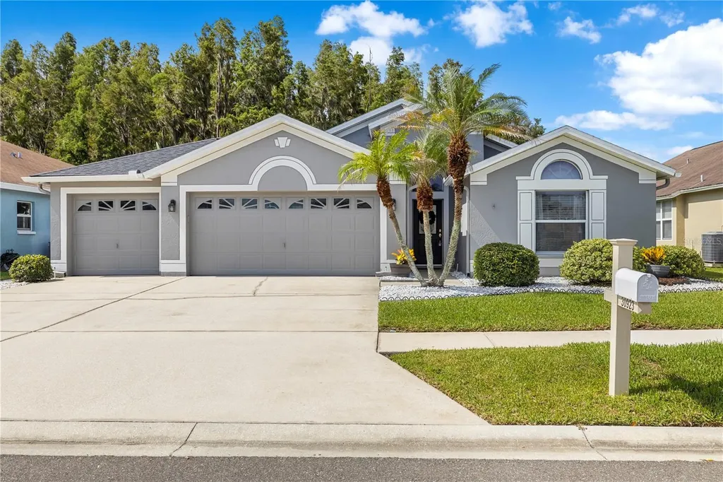 30923 Iverson Drive Wesley Chapel FL 33543