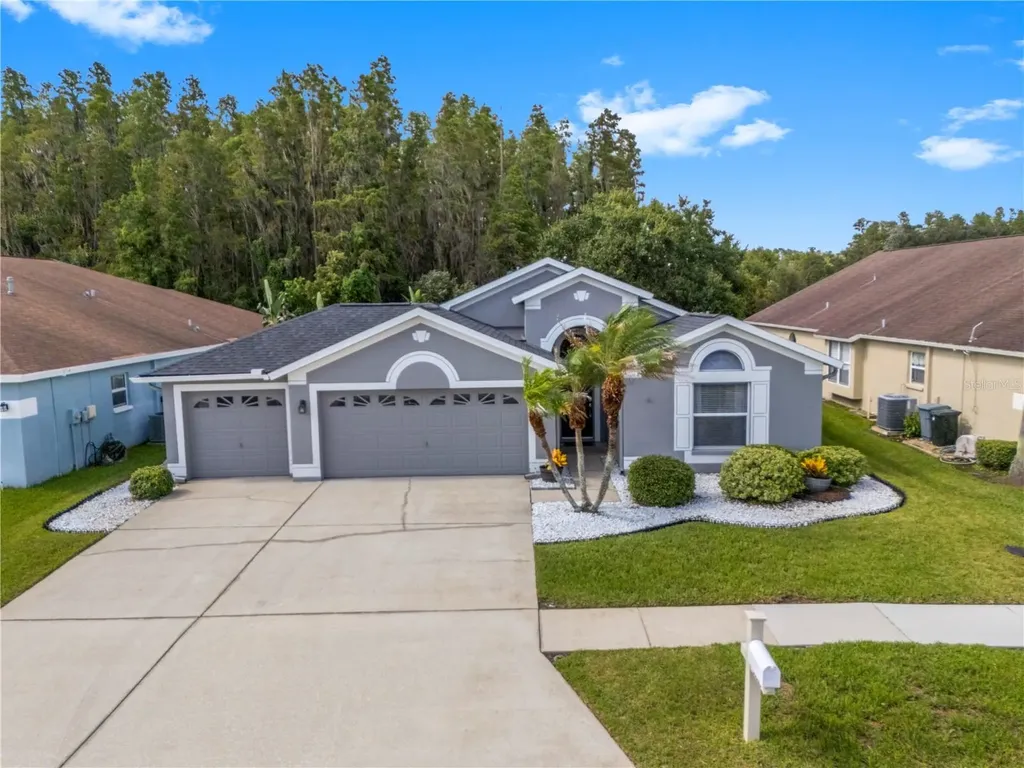 30923 Iverson Drive Wesley Chapel FL 33543