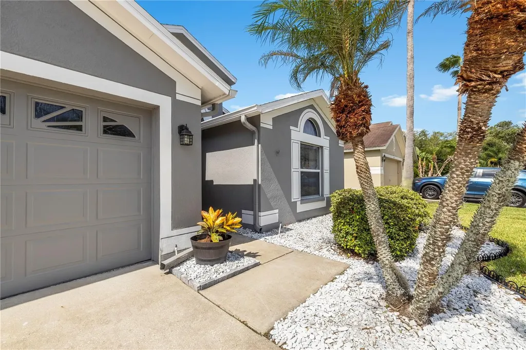 30923 Iverson Drive Wesley Chapel FL 33543