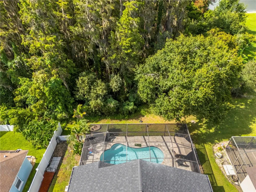 30923 Iverson Drive Wesley Chapel FL 33543