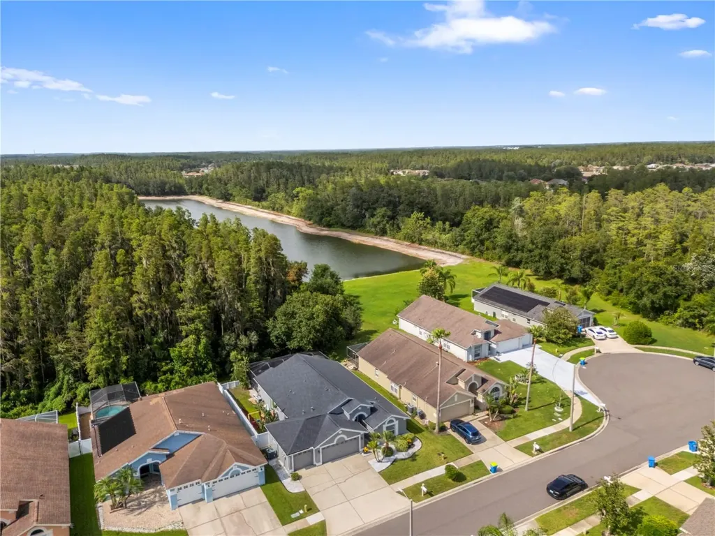 30923 Iverson Drive Wesley Chapel FL 33543