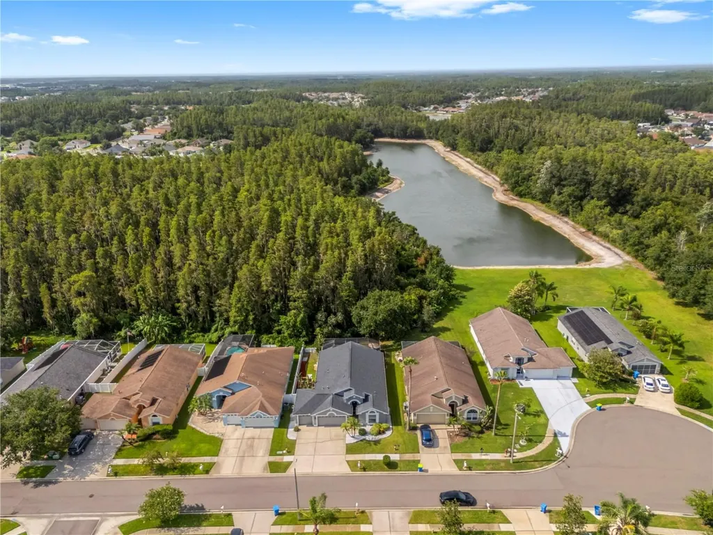 30923 Iverson Drive Wesley Chapel FL 33543