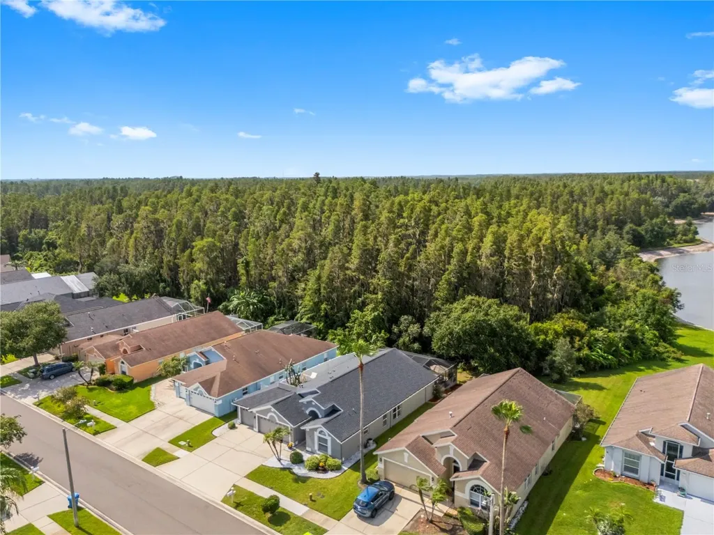 30923 Iverson Drive Wesley Chapel FL 33543